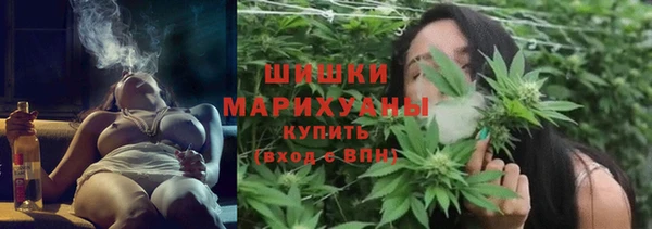 сатива Балахна