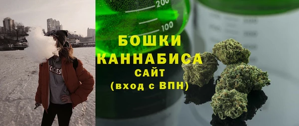 ПСИЛОЦИБИНОВЫЕ ГРИБЫ Баксан