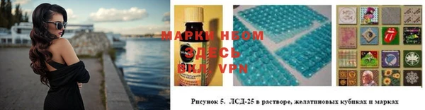ПСИЛОЦИБИНОВЫЕ ГРИБЫ Баксан