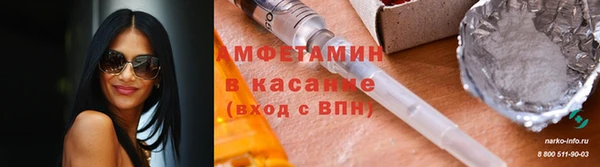 сатива Балахна