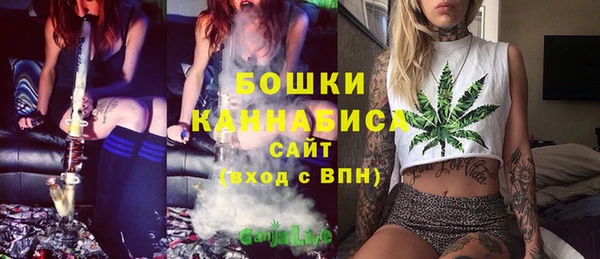 ПСИЛОЦИБИНОВЫЕ ГРИБЫ Баксан