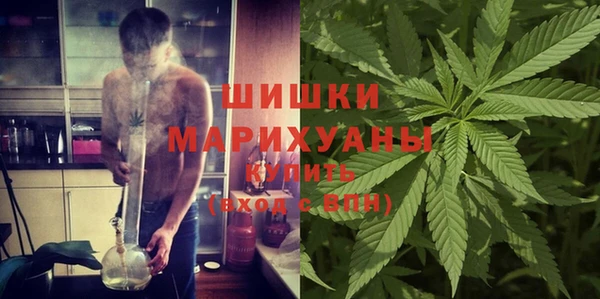 ПСИЛОЦИБИНОВЫЕ ГРИБЫ Баксан