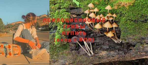 ПСИЛОЦИБИНОВЫЕ ГРИБЫ Баксан