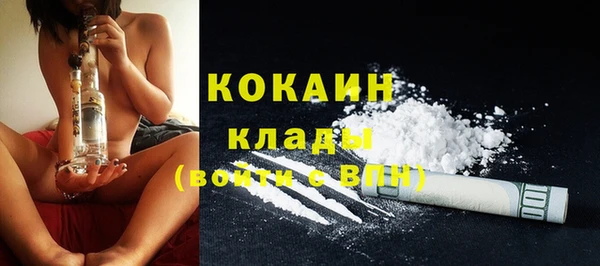 сатива Балахна