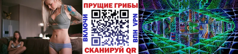 Псилоцибиновые грибы ЛСД  Городовиковск 