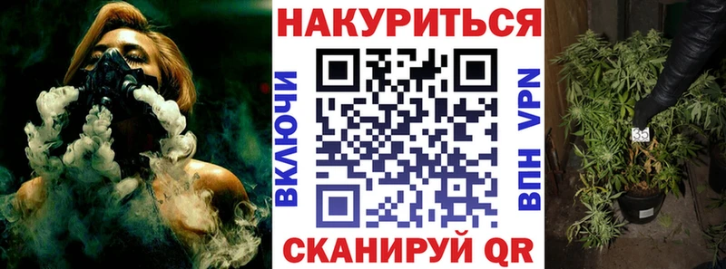 сколько стоит  Городовиковск  Бошки марихуана сатива 